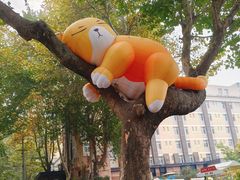 -西安电影制片厂