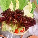 熊猫汤火锅只有零次和无数次