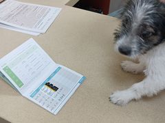 -艾贝尔宠物医院 ·内科全科(梁溪路店)