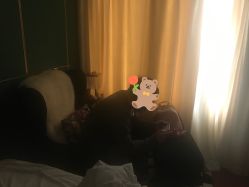 -Mamom club 慢会所(爱丁堡店)