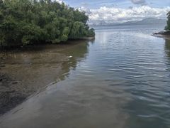 -深圳湾公园(南山区)