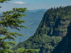 -瓦屋山景区
