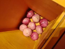 -疯狂冒险家-亲子密室-东坝店(金隅嘉品店)