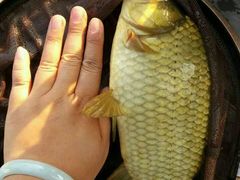 -酷鱼垂钓CLUB(朝阳区博大路店 )