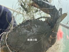 -青澳湾北回归线广场