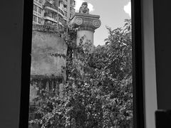 -素咫咖啡CLIFEROSE(新安店)