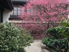 -杭州西子湖四季酒店·金沙厅
