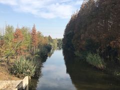 -上海长兴岛郊野公园