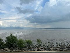 -深圳湾公园(南山区)