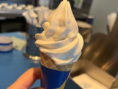 -春丽小马(济南恒隆广场店)