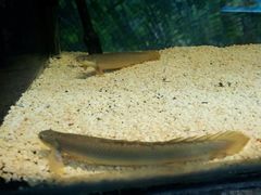 android_upload_pic-上海大自然野生昆虫馆