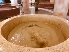 -加林娜泥浴水疗