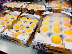 -盒马X会员店(王府井奥莱UP TOWN店)