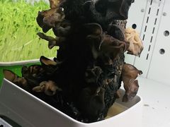 -番食园鲜食火锅(高新店)