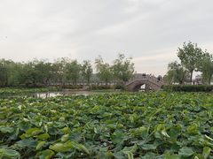 -云龙湖旅游景区