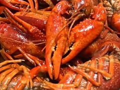 -二钳洞庭虾蟹·江湖菜(成都鹭岛店)
