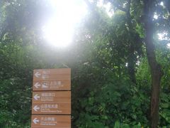 -海口火山口国家地质公园