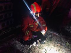 -万源龙顺度假庄园生态观光园