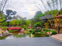 -仙湖旅游度假区