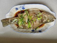 -福孕妈妈家政•月嫂育儿嫂保姆