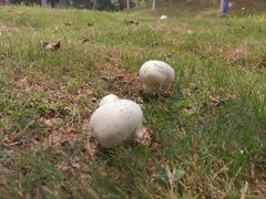 -华南师范大学(广州大学城校区)