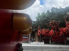 -国恩寺