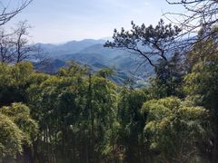 -莫干山风景区