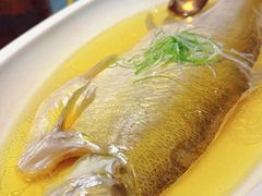 -席家花园(巨鹿花园店)