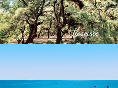 -北海金海湾红树林生态旅游区