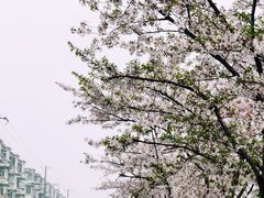 -永乐路-路侧停车场