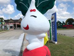 -上海都市菜园