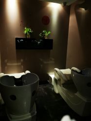 -史云逊养发护发