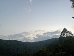 -广州白江湖森林公园