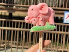 -秦皇岛野生动物园