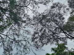 -南丫岛