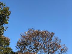 -大蜀山国家森林公园