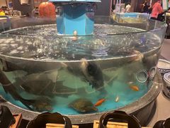 -魏铭鱼头捞饭(晋阳路店)