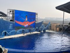 -上海海昌海洋公园