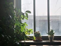 靠窗位-1901 Cafe(西四店)