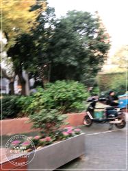 -金太子形象设计