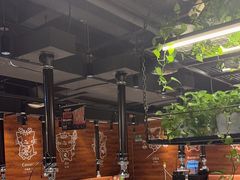 -猫爪爪原切自助烤肉(观音桥阳光世纪店)