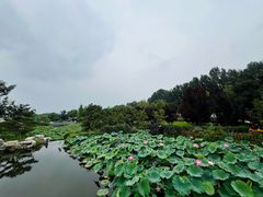 -静之湖度假区
