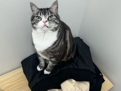 -达爱动物医院·犬猫分区·CT·复杂眼科(远洋山水分院)
