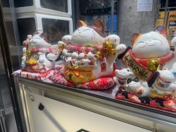 -G-STEPS舞蹈工作室