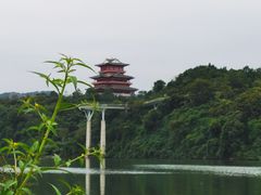 -老火车站牛肉粉
