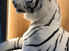 -ZOO COFFEE动物园咖啡(望京锐创店)