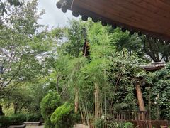 -黑龙潭公园