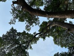 -网红落日悬崖餐厅 The Sky Gallery