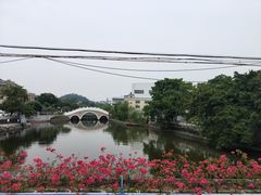 -长洲岛