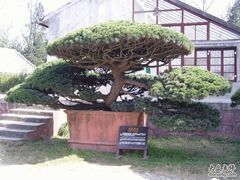-水绘园